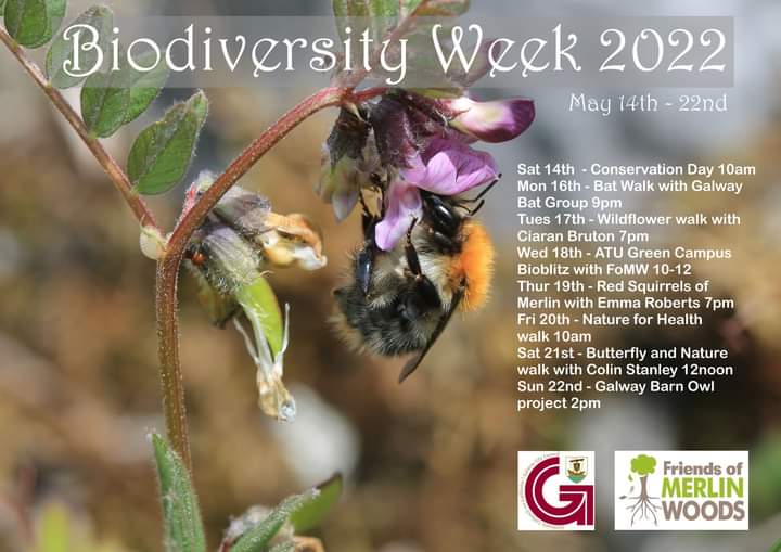 Looking forward to #Biodiversityweek2022 linking in with so many great individuals .organisations and institutions. #NationalBiodiversityweek #Loveyournature #Leavenotrace