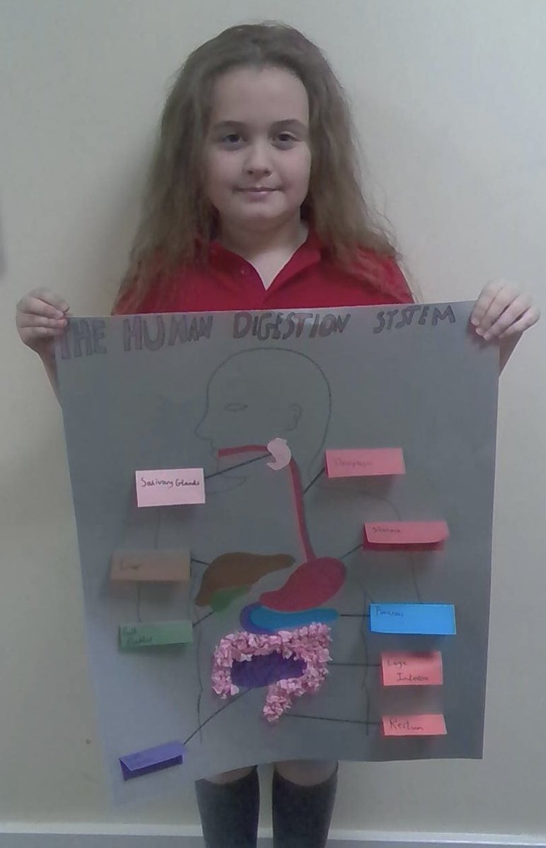 BenyonPS's tweet photo. Some of our wonderful home learning projects from year 4. Well done children #independentlearners #perseverancebringssuccess #veryproud @TrustCatalyst https://t.co/jw2wcaHO5H