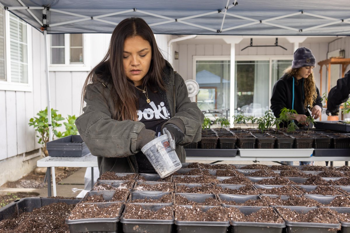cookiesimpact's tweet photo. Cookies U students hard at work 🌱 #cookiesimpact https://t.co/Oniv7nUsNv