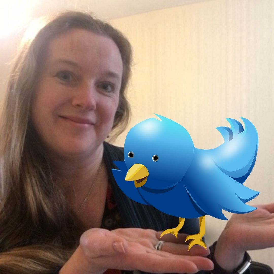 BecsBate's tweet photo. Twitter - are you missing out? - https://t.co/QhuoO4YDAT #TwitterTips #Twitterworkshop https://t.co/lsQygJT1I6