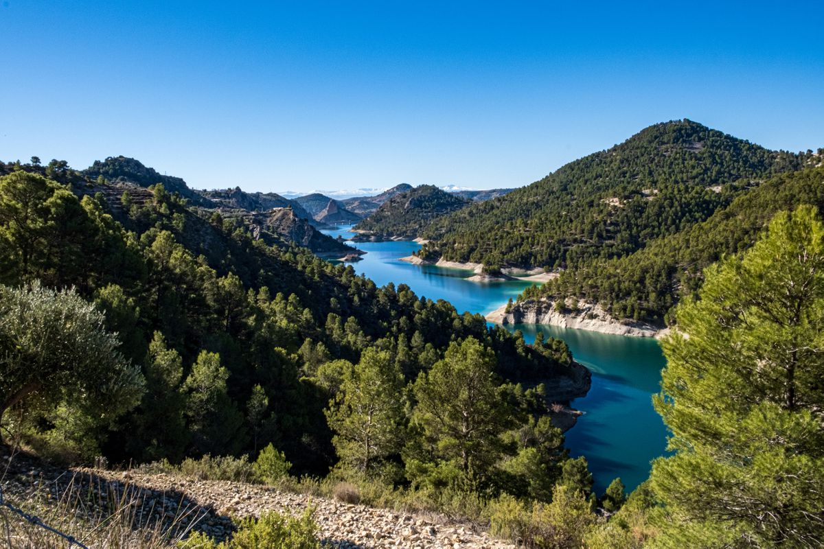 sigmadaf's tweet photo. Sembrar árboles para recoger agua https://t.co/PADoj3gDfE por @elpais_espana #agua #medioambiente https://t.co/PjJ2lk8PT4