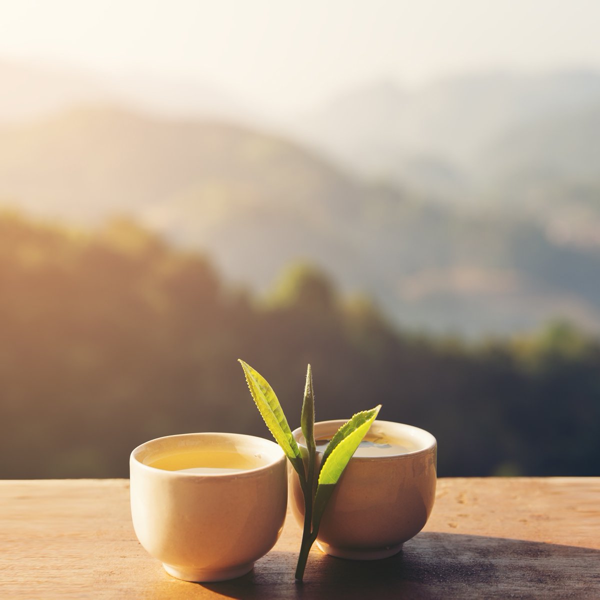 Teance's tweet photo. Tea is as nuanced as wine and the growers (Tea Masters) are as revered in their countries as Winemakers are around the world.

#TeanceFineTeas #TeaForAll #LooseLeafTea https://t.co/oH4MUhn4u7