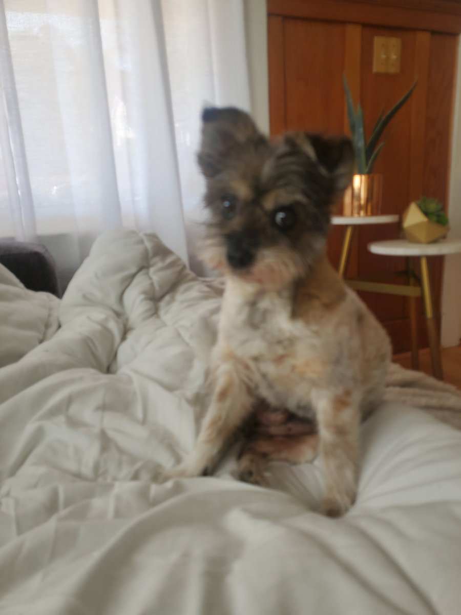 Oliver says wassssup!