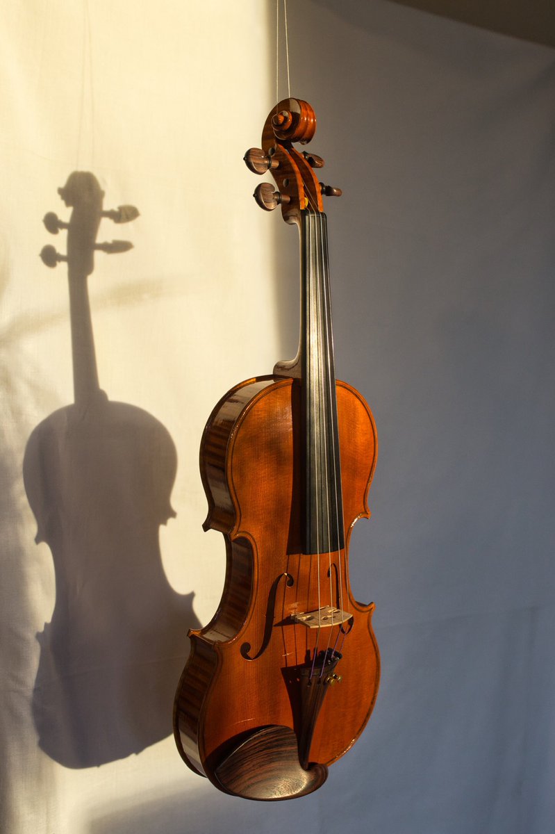 MRviolinmaker's tweet photo. My violin on a sunny evening #violin #violinmaker #lutnier #maple #flamedmaple #wood #woodworking #music #oilvarnish https://t.co/NaZWWe0AYL