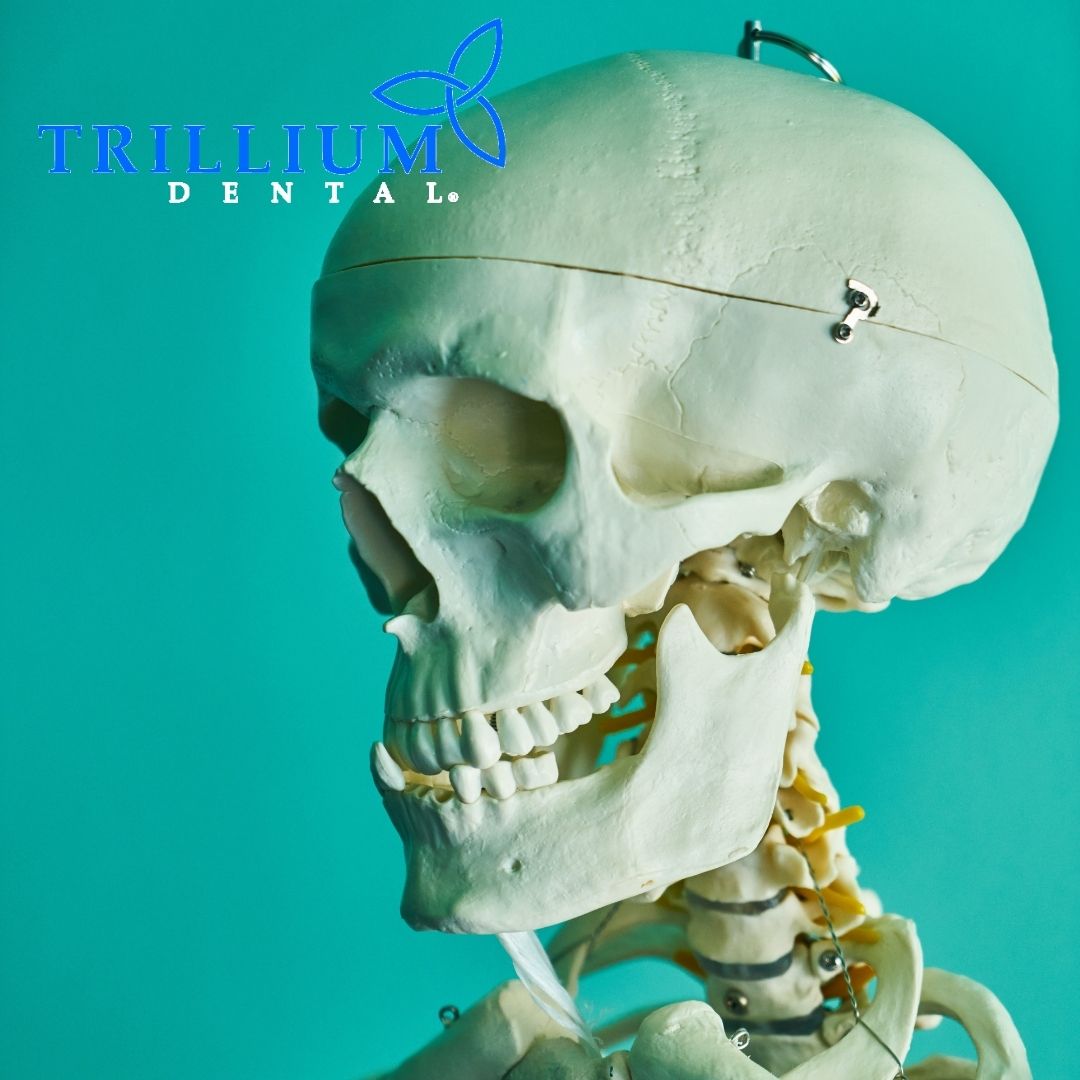 Teeth are made of 3 layers: enamel, dentine and nerves. They're even harder than bone! But don't test it - keep them healthy by seeing us at Trillium Dental. 

#canada #dentist #oralhealthcare