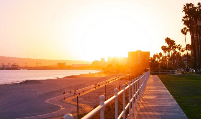 RealTonyLuck's tweet photo. Next NFT Meet Up/Clean Up will be Sunday, June 5th in Long Beach, CA. (11am - 3pm PST).

The 12 Past Sponsors have 1st Dibs to Sponsor again, then I invited 25 New NFT Projects with like minded communities, art and purpose. 

There will be a maximum number of 25 sponsor slots. https://t.co/hXWsEqNzPc