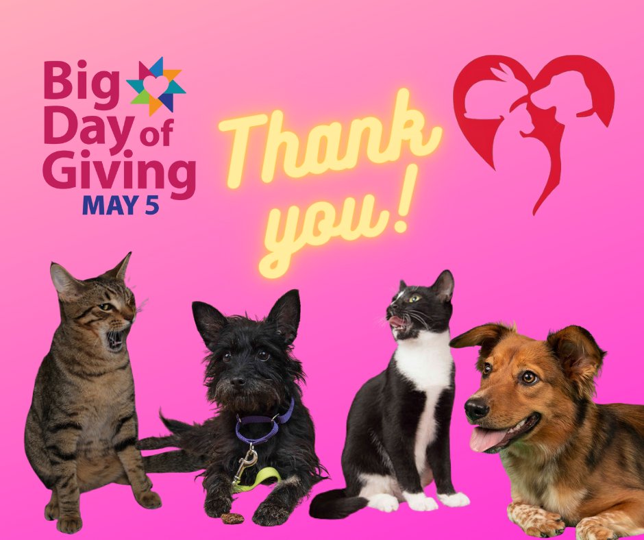 Over $25,000 to help animals in our community!  Thank you for donating <a href="/bigdayofgiving/">Big Day of Giving</a>