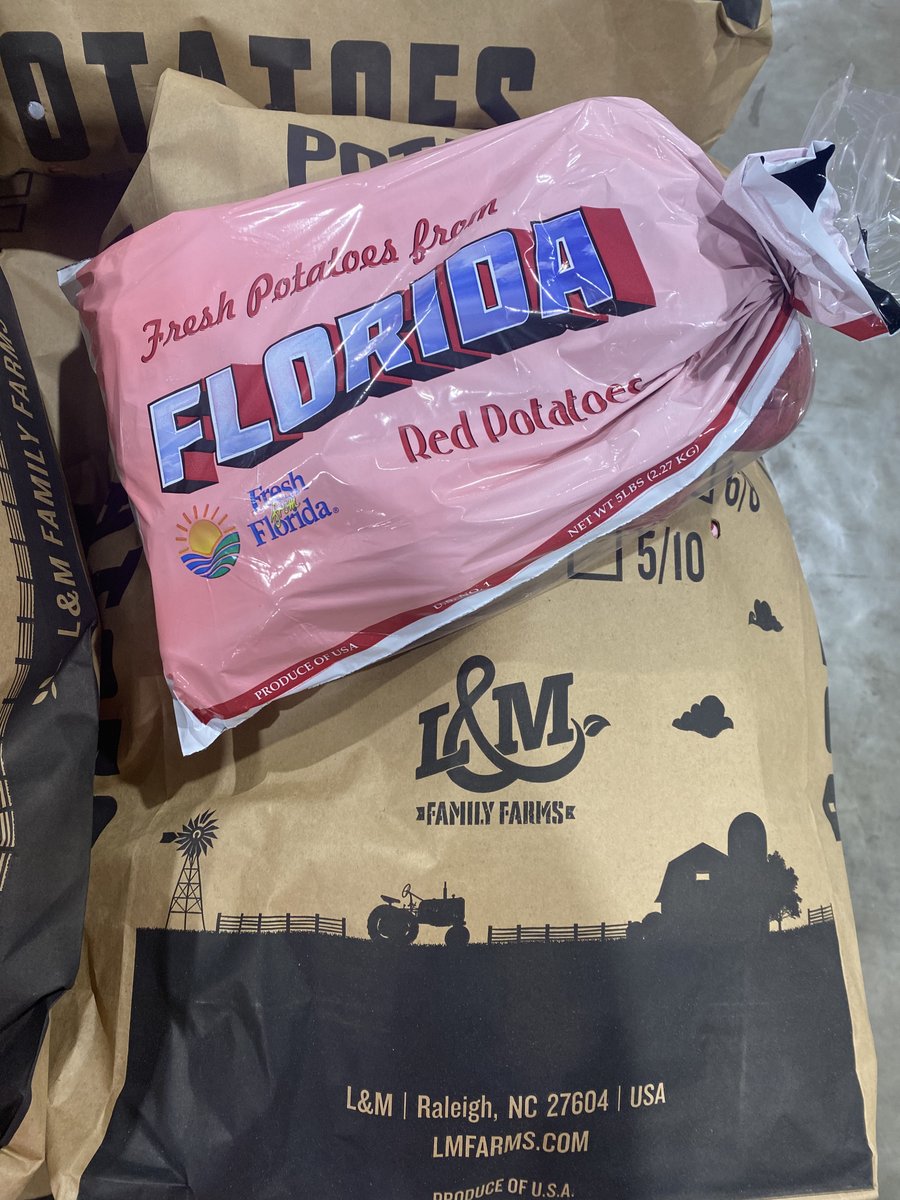 LMCompanies's tweet image. Potatoes in full production in East Palatka, FL 📸 Cal Parker #rootedininnovation #freshproduce #freshfromflorida #harvest #potatoes #agriculture