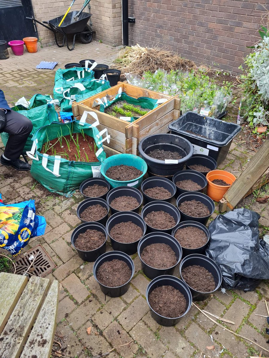 SACA_Religious's tweet photo. Thank you to the wonderful residents from a local care home we are working with for giving up their time to help us with our #communityallotment . What a fantastic experience and a great opportunity for our #wellbeing group to foster #CrossGenerational relationships! https://t.co/vS00LBnuzX