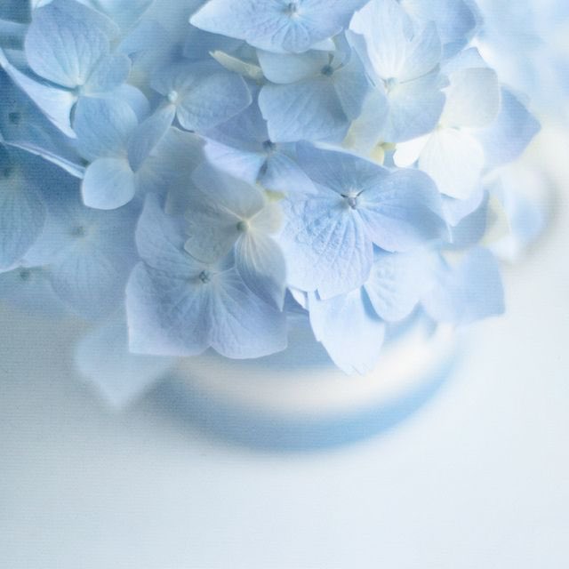 StudyPixel's tweet photo. Blue 💙🦋#aesthetic #blue #pastel https://t.co/epOux7BrPM