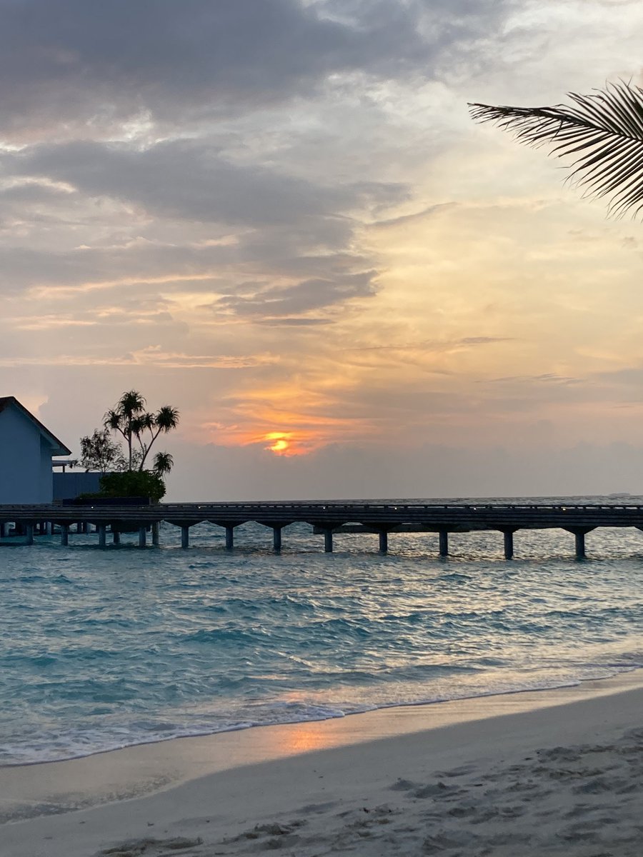 KerryWight2's tweet photo. Another perfect day in paradise, what more can I say! @Maafushivaru_MV @KuoniTravelUK @Kuoni_Trafford @_traffordcentre https://t.co/WBD966leGC