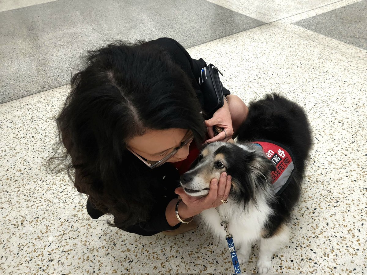 ellaghica's tweet photo. Mr. Keen you are so adorable!!! @APTherapyDogs 
Happy Friday from Houston Texas. Be on the lookout for Keen, he  is pawtroling the terminals #makingadifference #Smiles #customerexperience #AirportFun #AirportAmbassador #HoustonFriendly https://t.co/Fc02yBiDx3
