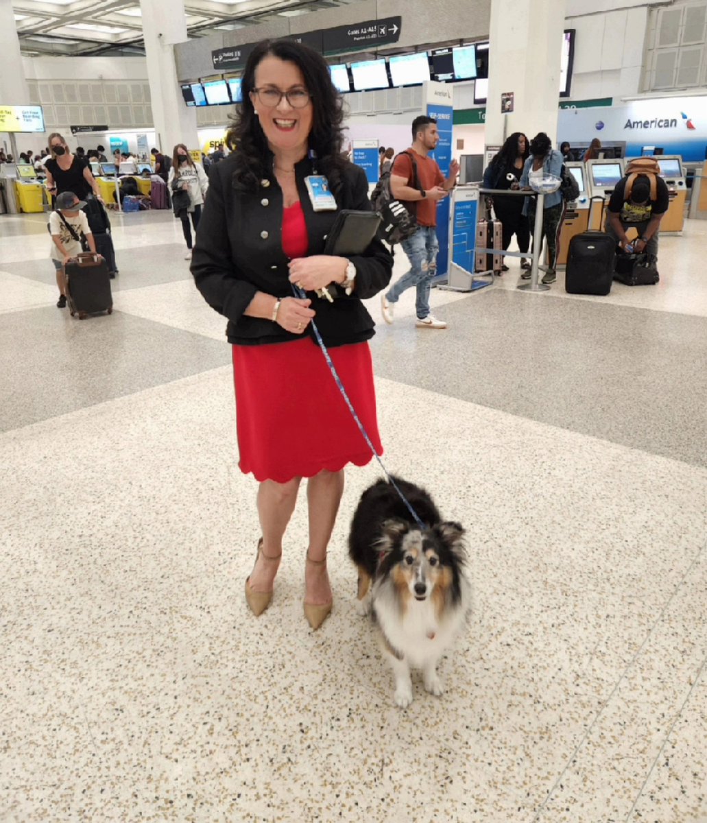 ellaghica's tweet photo. Mr. Keen you are so adorable!!! @APTherapyDogs 
Happy Friday from Houston Texas. Be on the lookout for Keen, he  is pawtroling the terminals #makingadifference #Smiles #customerexperience #AirportFun #AirportAmbassador #HoustonFriendly https://t.co/Fc02yBiDx3