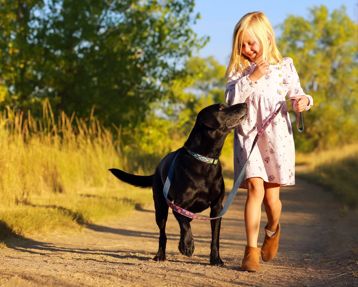 HumaneBoulder's tweet photo. School's (almost) out for Summer! Looking for something to do w/your kids & their canine bestie? Our Training Center offers a "Sidekicks" class where kids 7+ & their dogs can learn, bond & have fun together! https://t.co/atRI8bMOgj
#Dogs #Boulder #DogTraining #HSBV #HumaneSociety https://t.co/TceIDCAeD3