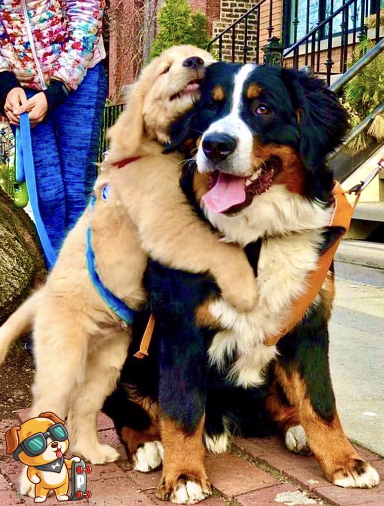 puppythereum's tweet photo. Send us pictures or short videos of your pets to be featured on a future edition of Patherem's Pet.

To enter our contest and recieve prize retweet this post with #FollowThePuppythereum
#BSC
#Coinbase
#Binance
#RescueAnimals
#RescuePets
#Cryptocharity https://t.co/ZDWdENF2Km