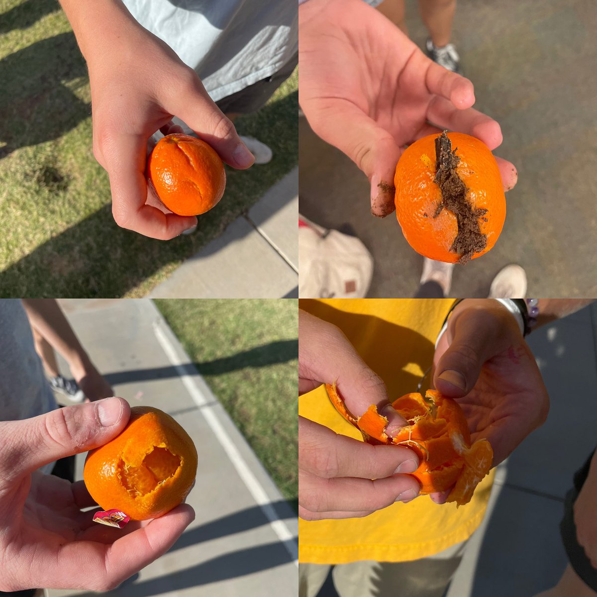 CVHS Sports Medicine tweet media