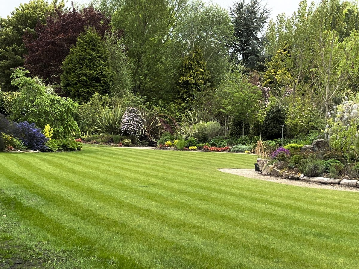 Weeping Ash Garden Glazebury today