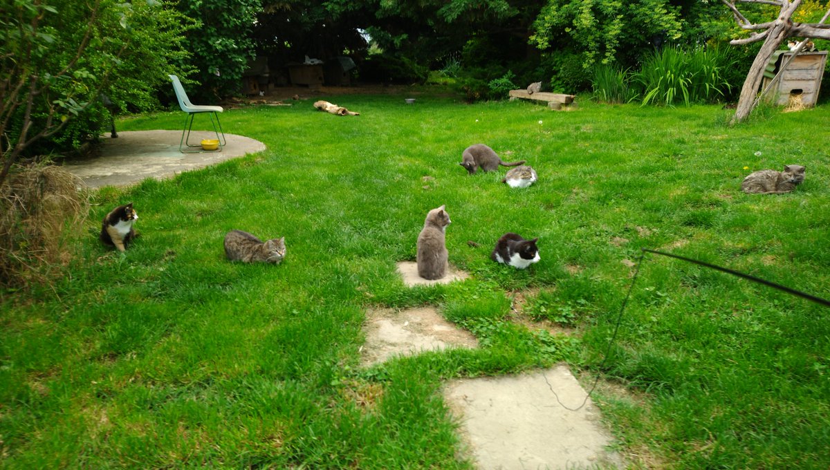 cha_nouar's tweet photo. @Jocanaan Comme une truffe je réalise seulement aujourd'hui le lien entre le sauveur du lama et le refuge où je vais... 🙀 Merci pour eux, ils n'auraient de place nul part ailleurs que là.  Vraiment, merci. https://t.co/MUPQHjYXJF