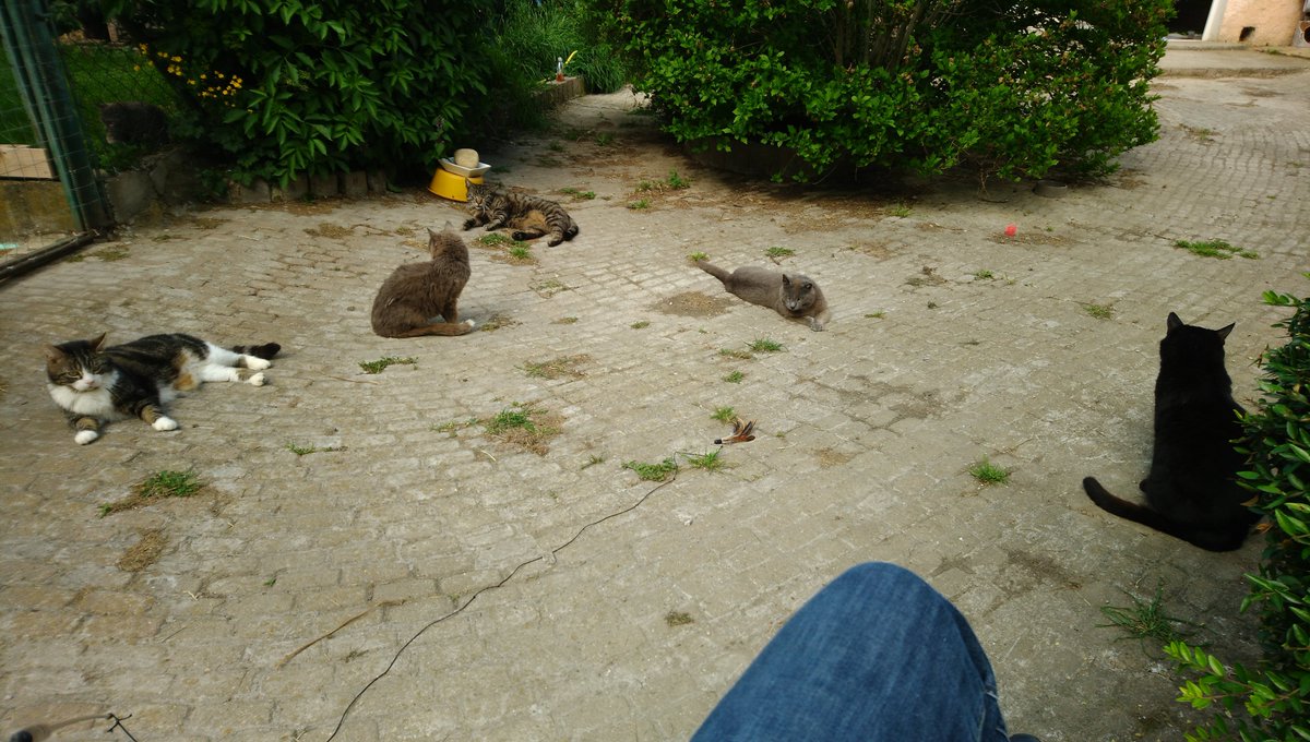cha_nouar's tweet photo. @Jocanaan Comme une truffe je réalise seulement aujourd'hui le lien entre le sauveur du lama et le refuge où je vais... 🙀 Merci pour eux, ils n'auraient de place nul part ailleurs que là.  Vraiment, merci. https://t.co/MUPQHjYXJF