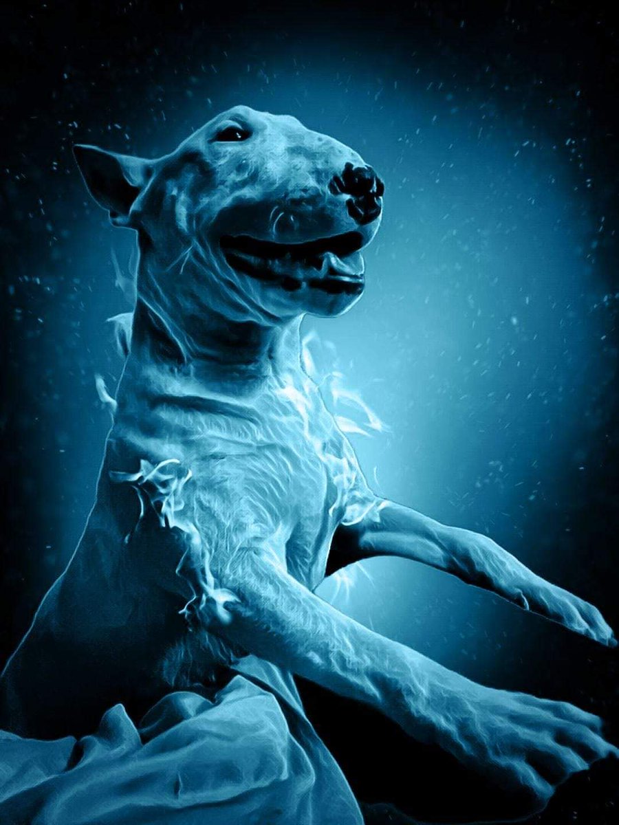 PaulMos02436367's tweet image. Have a great weekend friends x