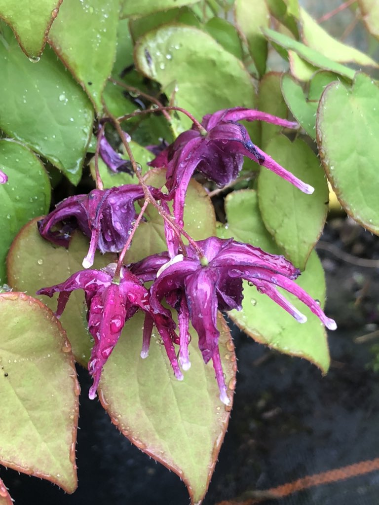 Paul Barney tweet media