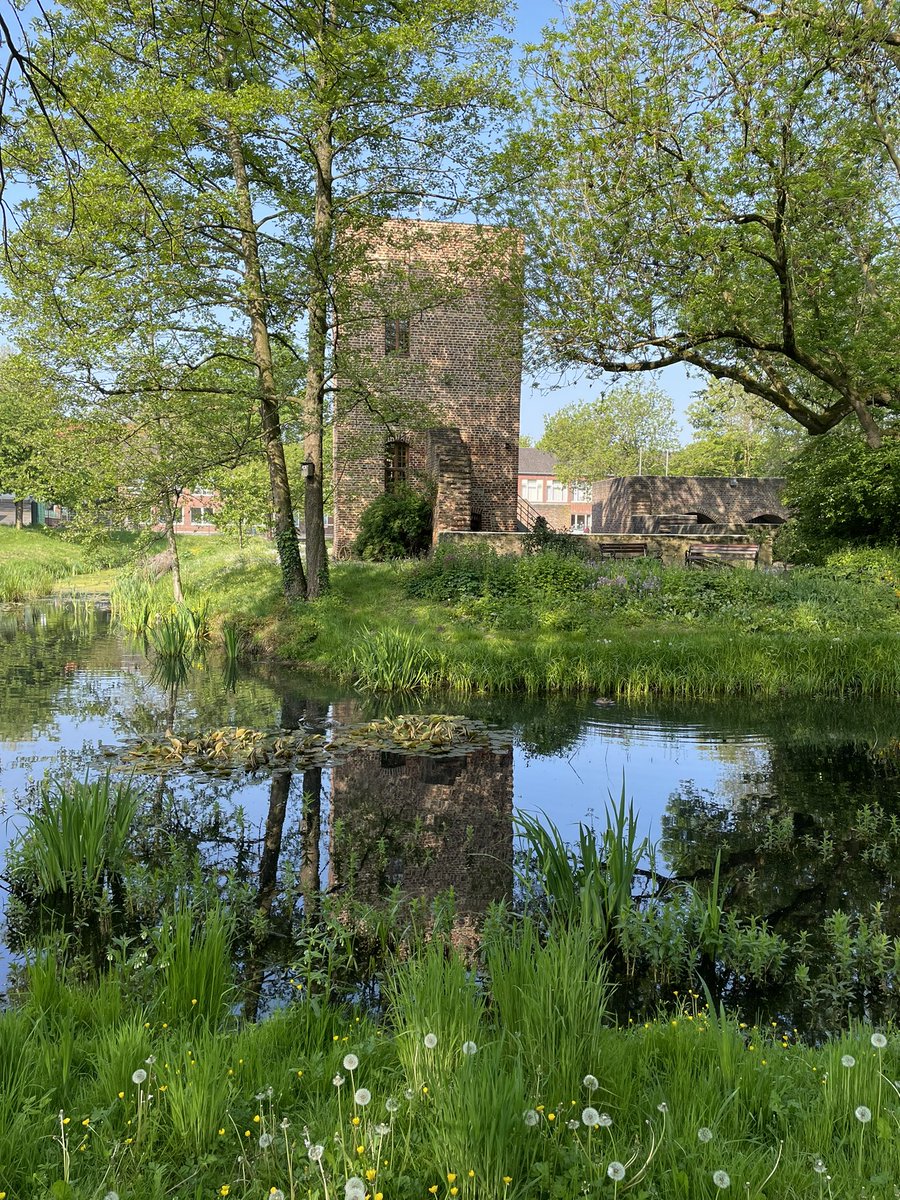 Annatinax's tweet photo. Frühling 😍 #huels #huelserburg #fruehling #spring !B https://t.co/wGz7GwTf7T