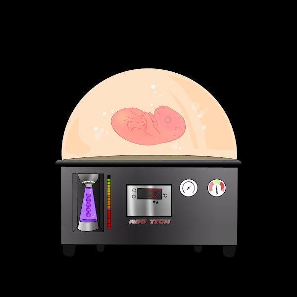 Alpha.Queens tweet media