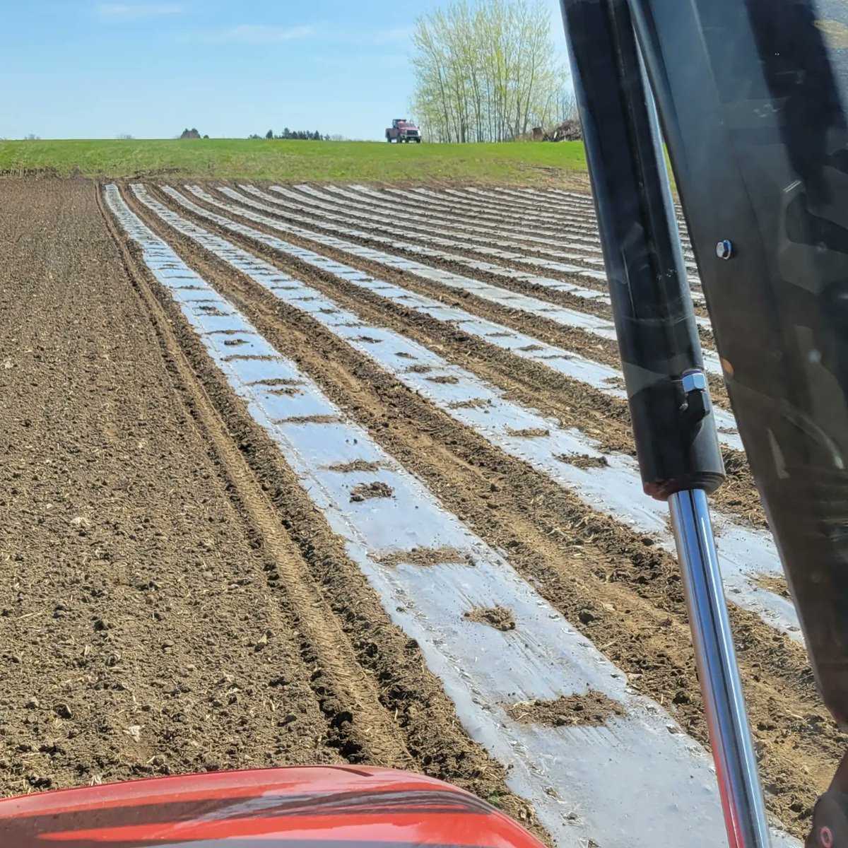 Foster Family Farm tweet media