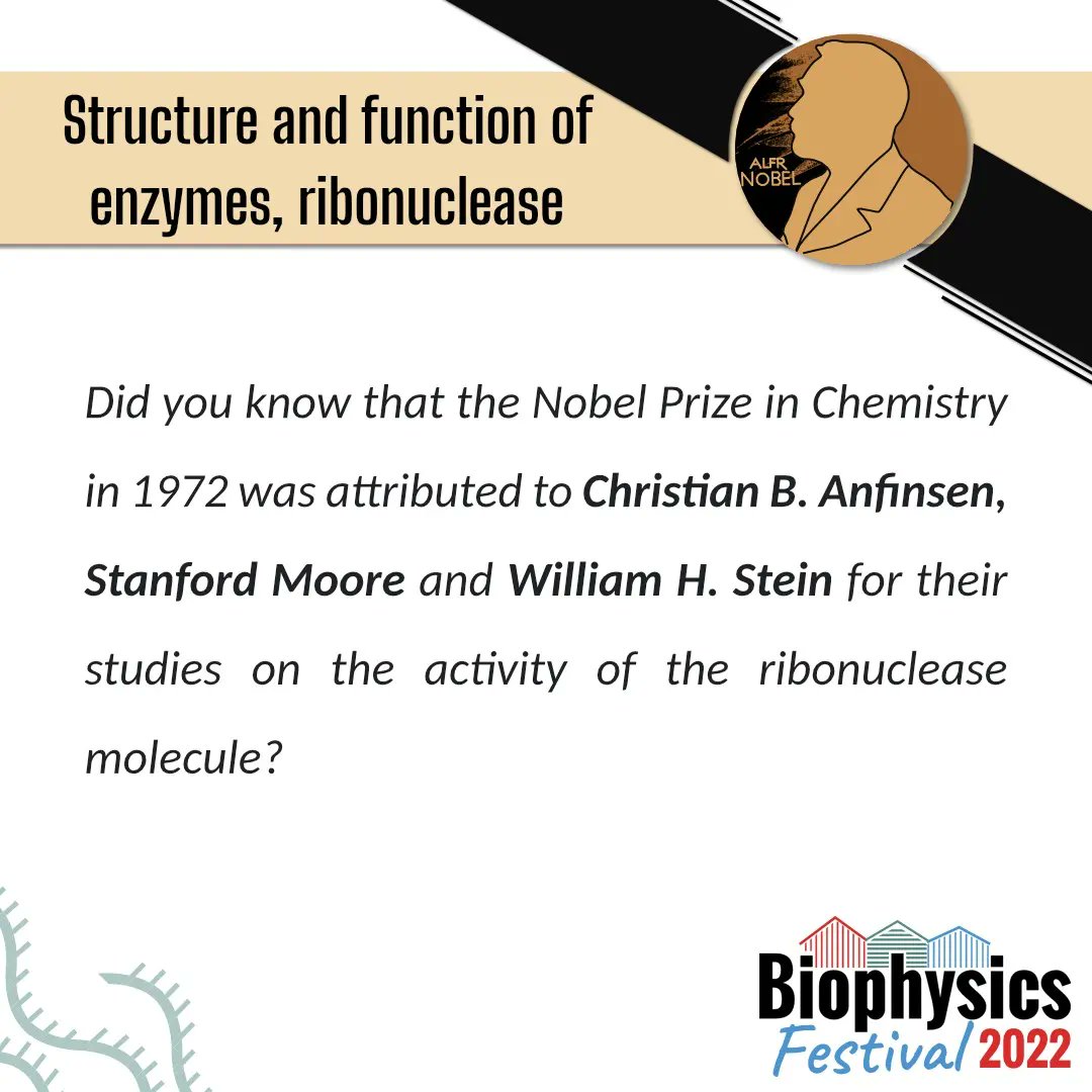 pybphy's tweet photo. Did you know?

Christian B. Anfinsen, Stanford Moore and William H. Stein were awarded with a Nobel Prize in Chemistry for the  characterization of ribonuclease  structure and activity

Designed by: @sciencecolors https://t.co/8126jNMm0c