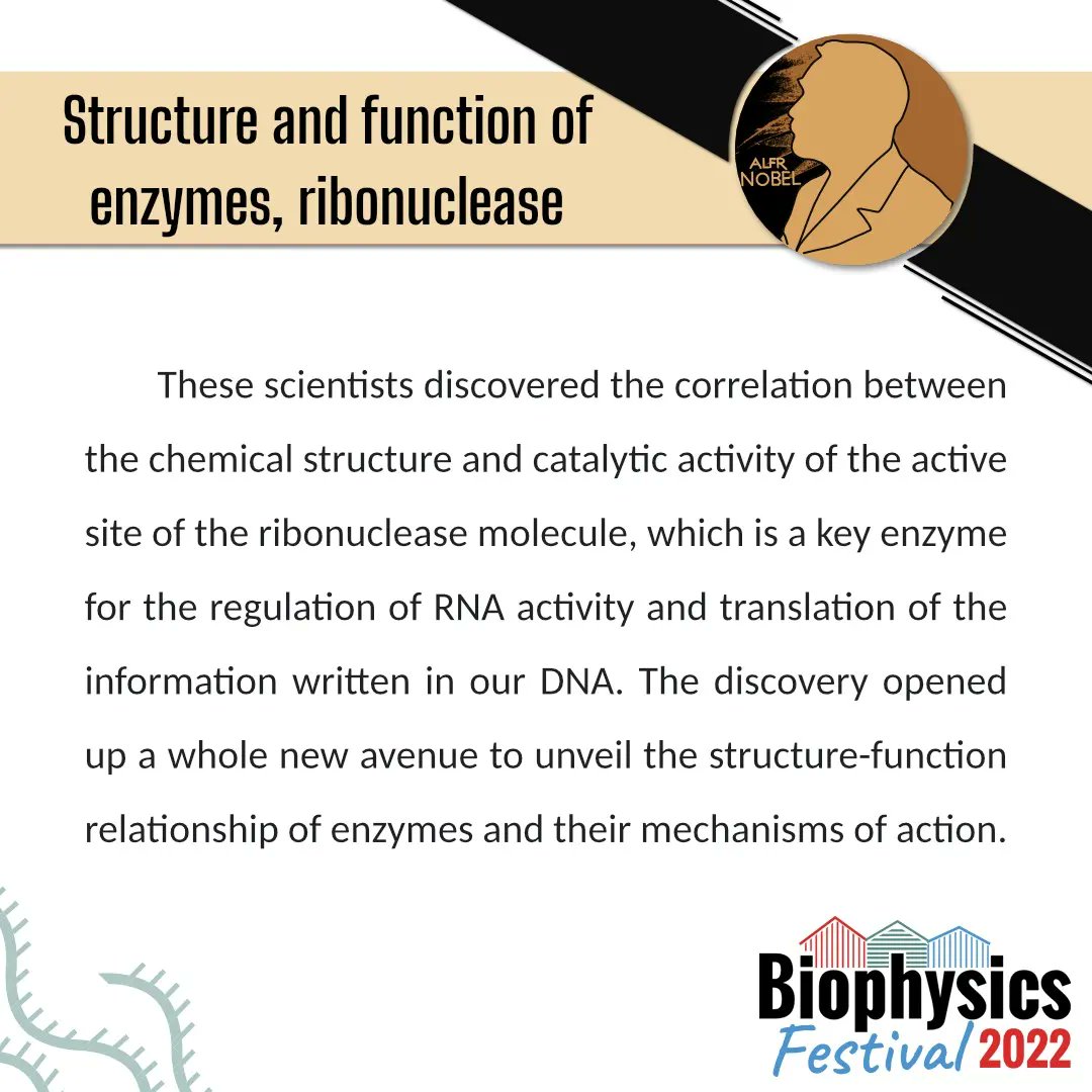 pybphy's tweet photo. Did you know?

Christian B. Anfinsen, Stanford Moore and William H. Stein were awarded with a Nobel Prize in Chemistry for the  characterization of ribonuclease  structure and activity

Designed by: @sciencecolors https://t.co/8126jNMm0c