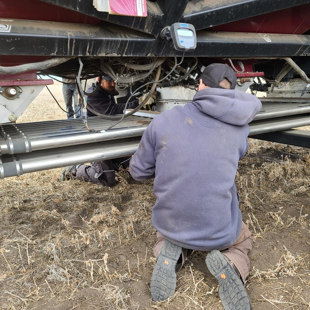 VickiDutton1's tweet photo. Ready to roll: Registered Snowbird Faba beans. https://t.co/cVQkfTJajU