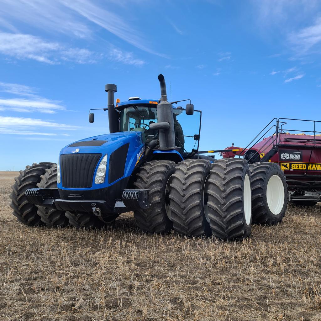 Ready to roll: Registered Snowbird Faba beans.