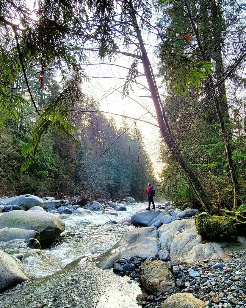 FraserRivKeeper's tweet photo. For #FRKFeatureFriday this week, we’re featuring a beautiful photo of a picturesque hike along Lynn Creek & through the dense forests of Lynn Headwaters Regional Park!
Tag your water photos with #FRKFeatureFriday for a chance to be featured!
📷: 55_onthefly, Instagram https://t.co/9h40hw7KiA