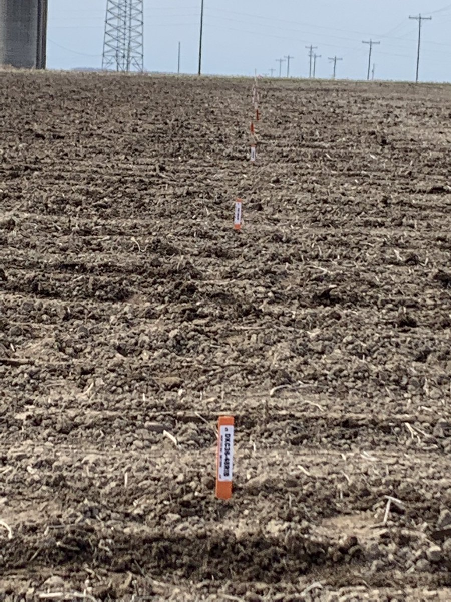 Mike Gronski tweet media