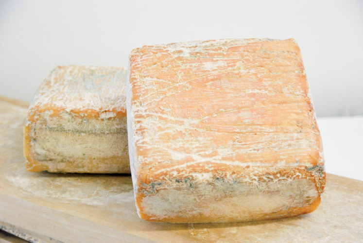 You’ve heard of cow’s milk cheese and goat’s milk cheese, but have you ever tried water buffalo cheese? 

ncfieldfamily.org/food/fading-d-…