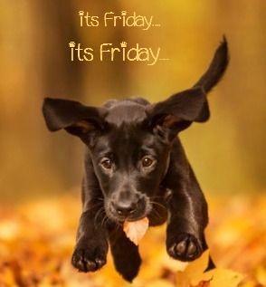 Student2Student THS (@troyhighs2s) on Twitter photo 