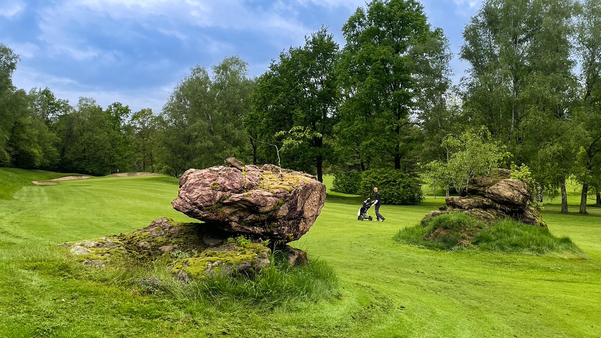 UK Golf Guy tweet media