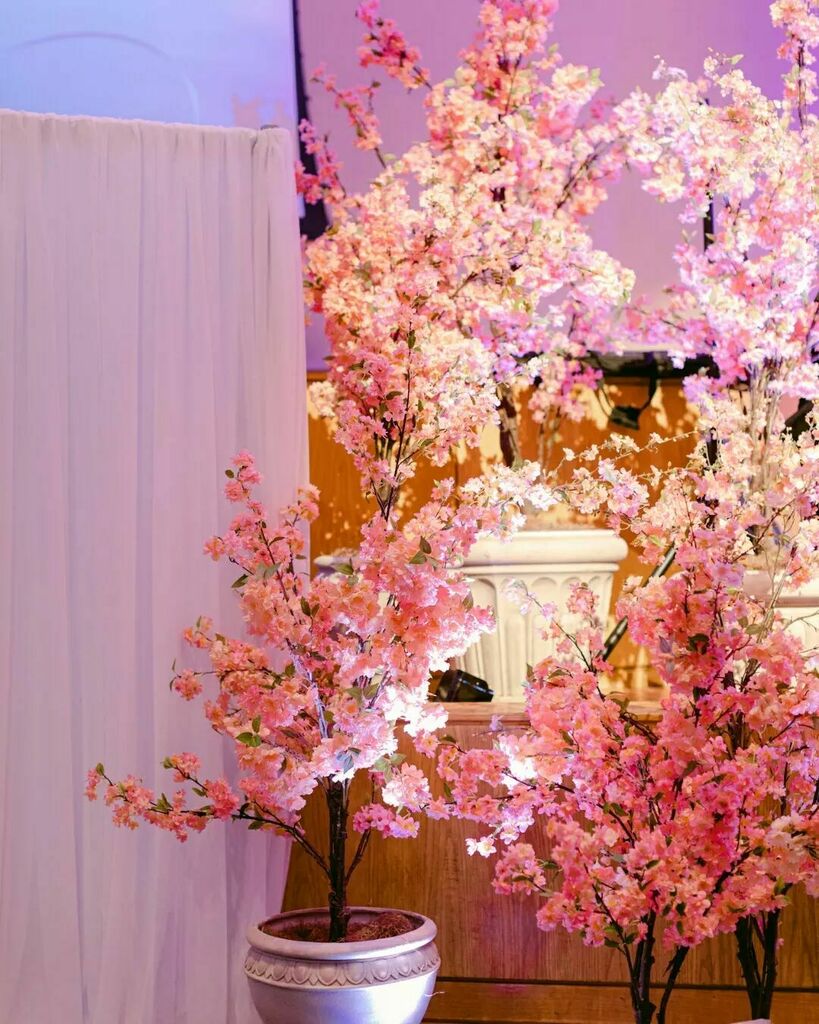What cherry blossom dreams are made of. 🌸🌸🌸 We love how these cherry blossom arrangements flanked the stage of the United Way Gala. It was simply perfect! 
​
​Client | @unitedwayofcentraloklahoma
Venue | @nationalcowboymuseum
Photo | @betsydutcherphoto
Rentals &amp; Linens | <a href="/ev/">Ev</a>…