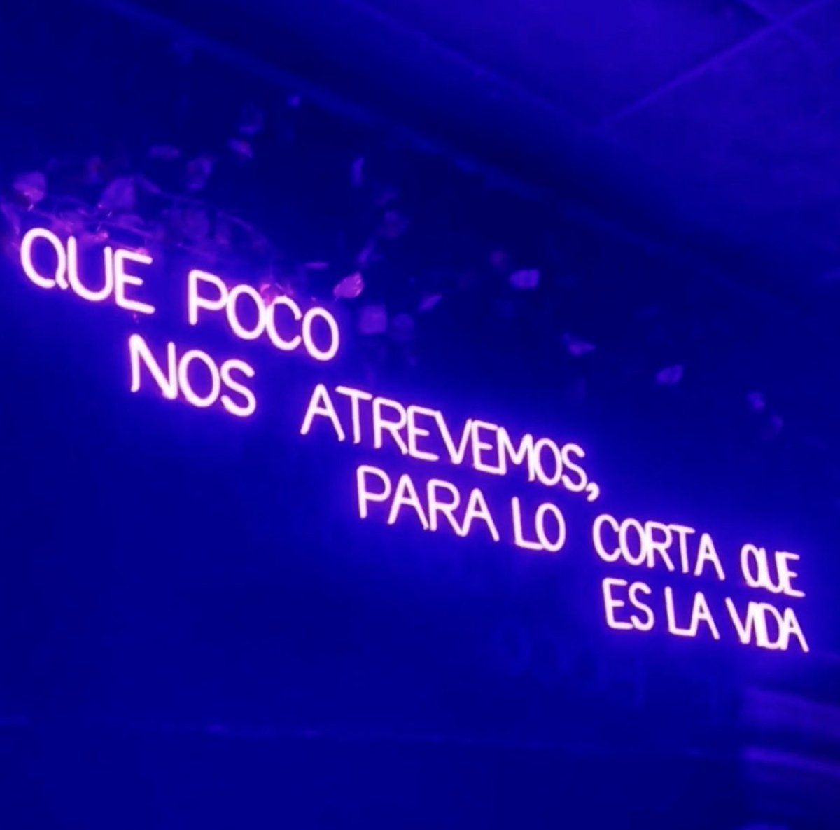 FrasesRealidad's tweet photo. Que poco! https://t.co/do514wiUoS