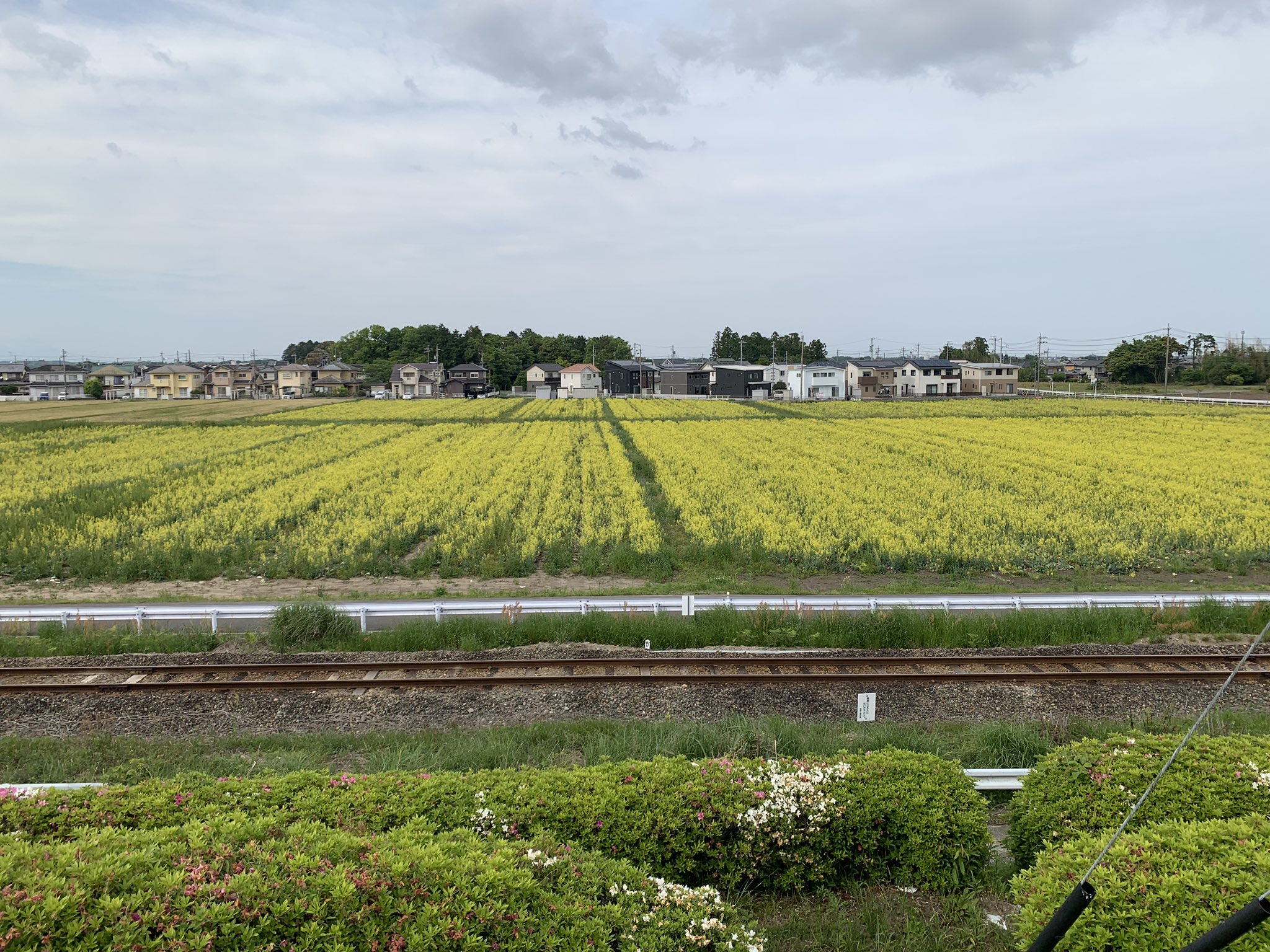 近所の風景 Twitter Search Twitter