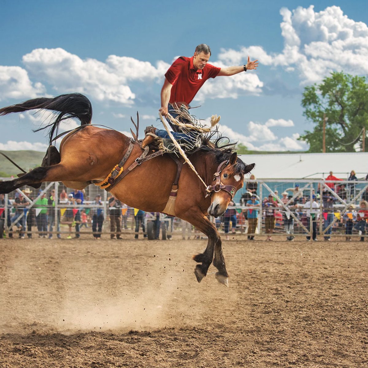 John Cook tweet media