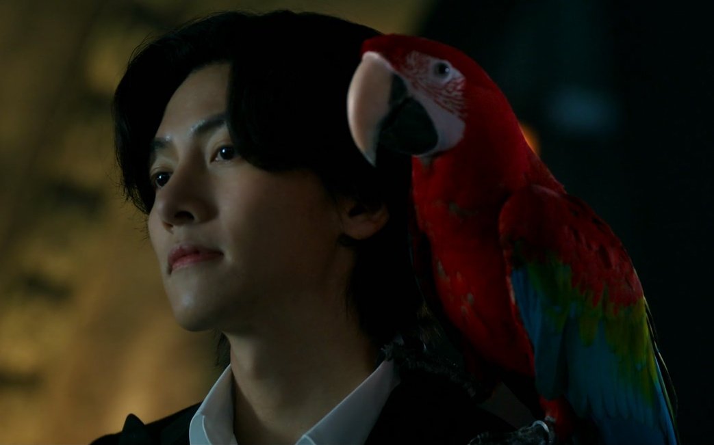 urleftie's tweet photo. i'm so proud of #jichangwook, he's been acting nonstop since his debut and even after his military discharge he's working more and more w/o taking a break, i cried watching him as the magician in #TheSoundofMagic, he's truly an amazing actor! https://t.co/GxLWMDqz9I