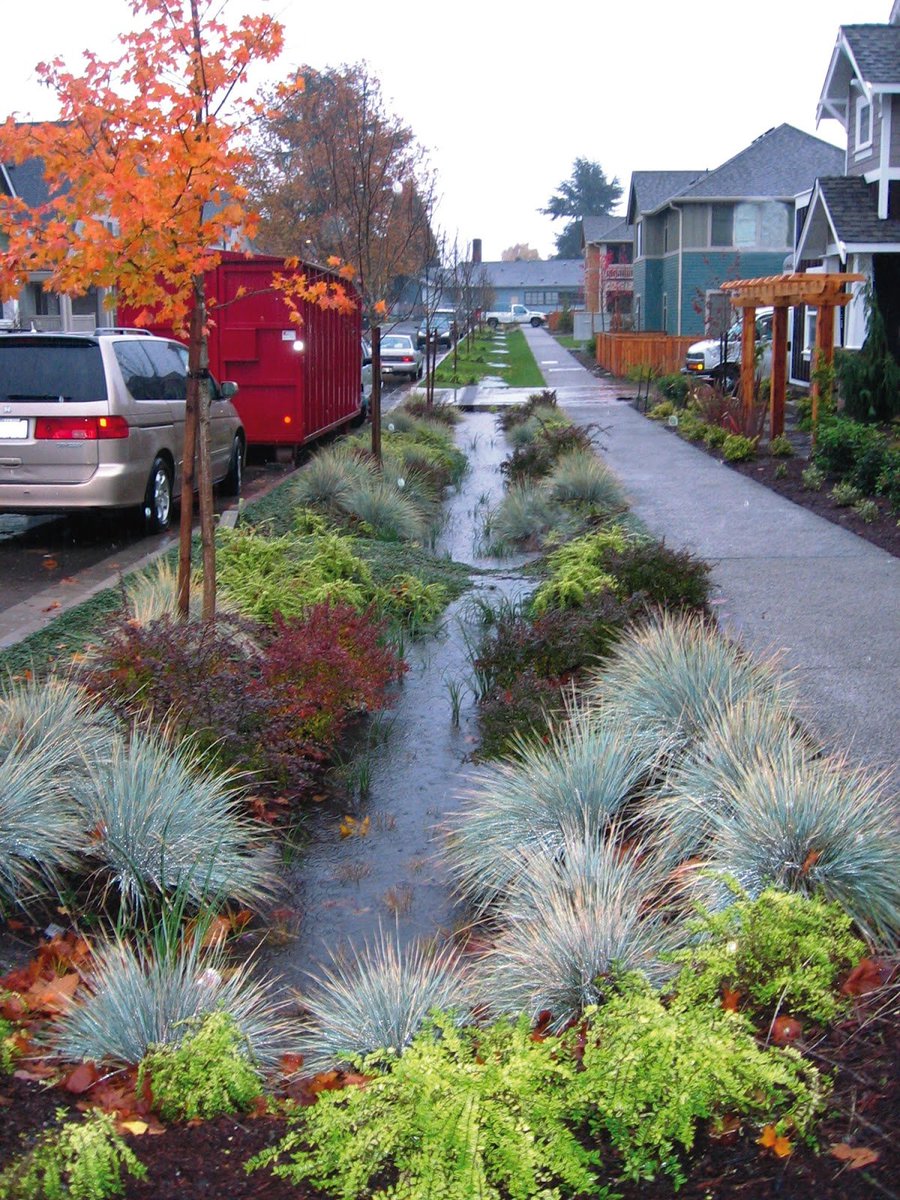 More neighborhood bioswales, please? (Seattle)