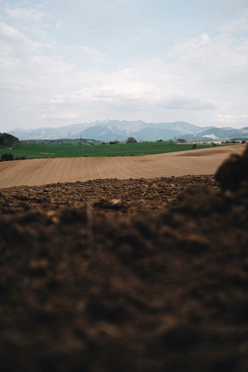GN there is something about contrasts 🤍 

Kontrasty sú krásou v ktorej najväčšmi vyniká príroda 🌱 jarné prebudenie je najkrajšie #jar #contrasts #slovakia