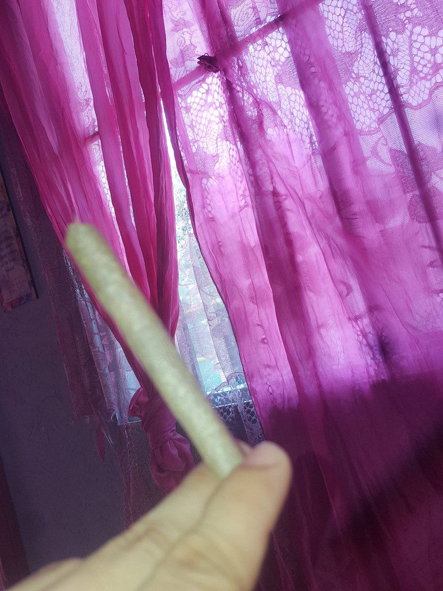 RITCHIE_weed's tweet photo. Cada día un porro nuevo 💚👽☺ https://t.co/xBMQKi7I2f