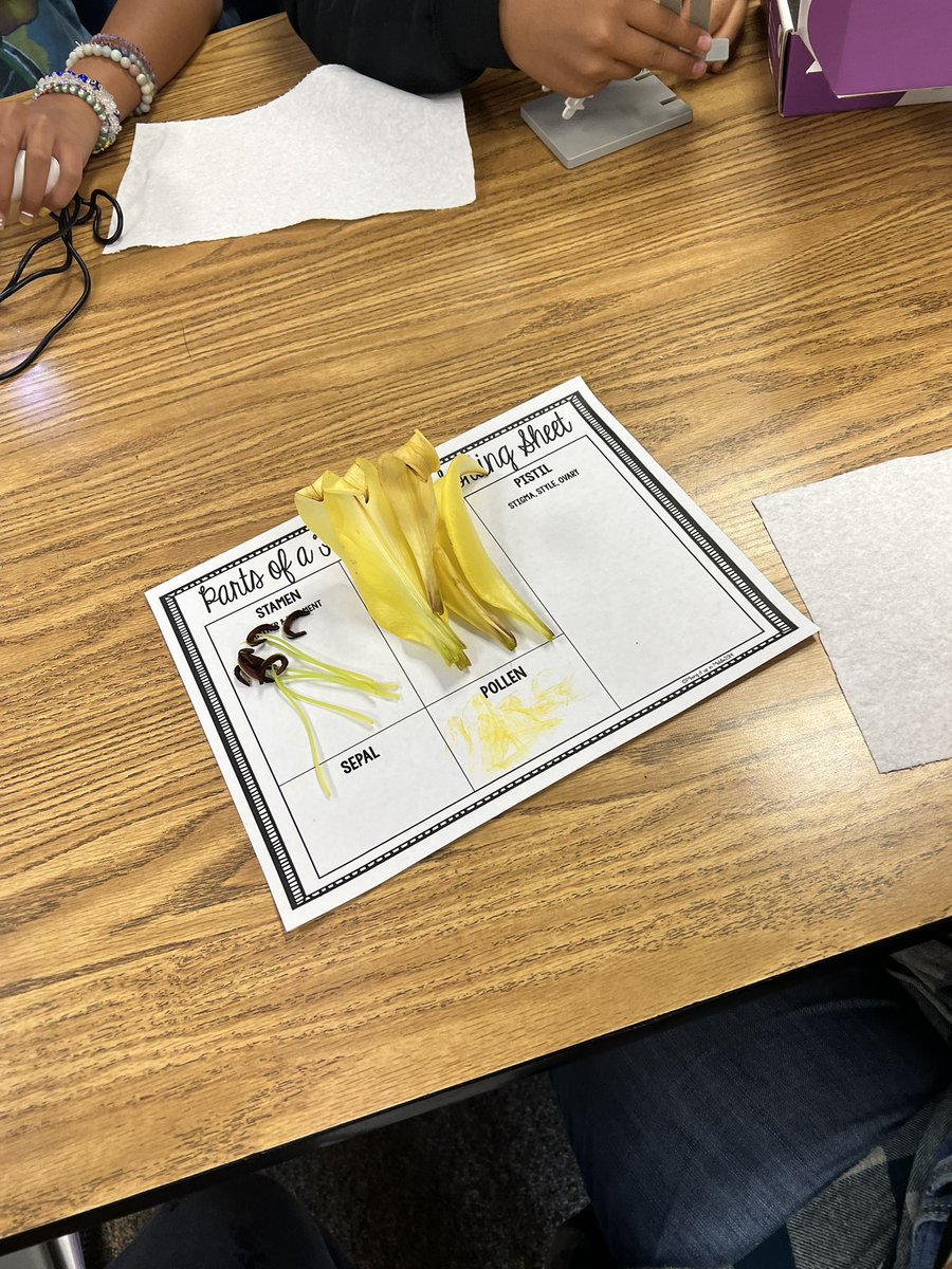 kwakely9's tweet photo. Dissecting flowers….#EHMS https://t.co/7o1GcGj9jF