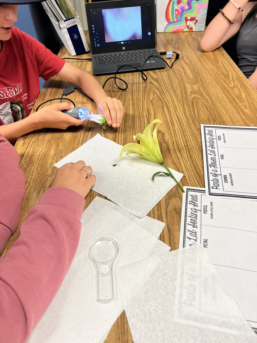kwakely9's tweet photo. Dissecting flowers….#EHMS https://t.co/7o1GcGj9jF
