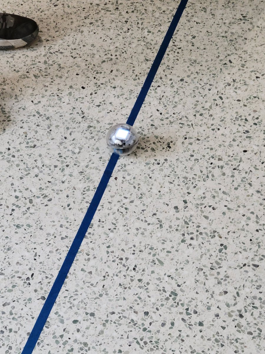 Holland MS tweet media