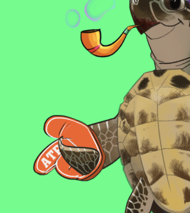 The Turtlez tweet media