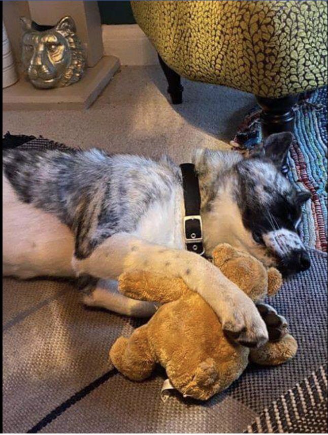 Karen Field tweet media